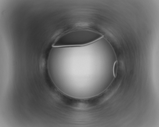 X0000113880308200909241032