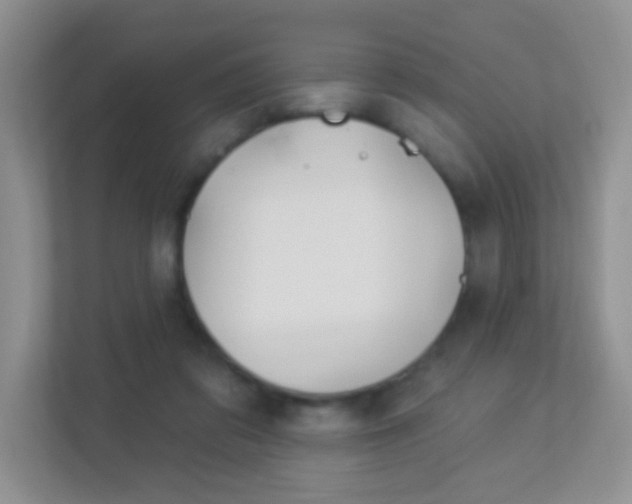 X0000113880309200909241032