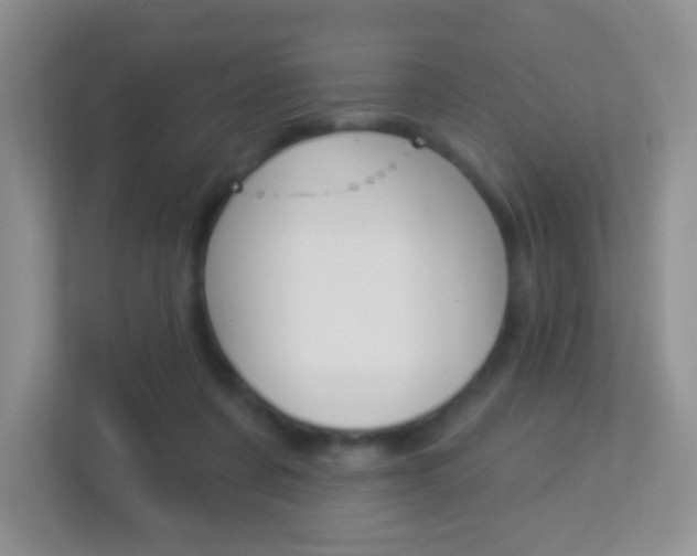 X0000113880311200909241032