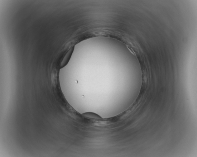 X0000113880332200909241031