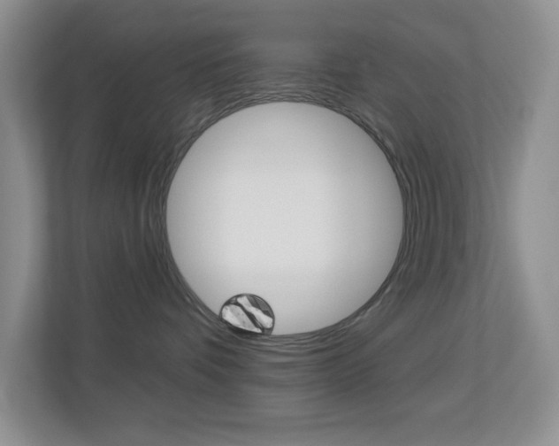 X0000113880336200909241031