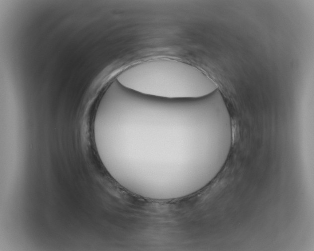 X0000113880339200909241031