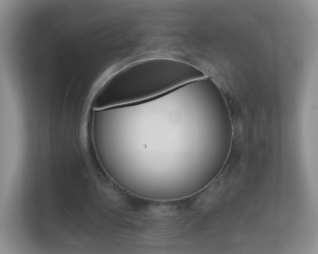 X0000113880340200909241031