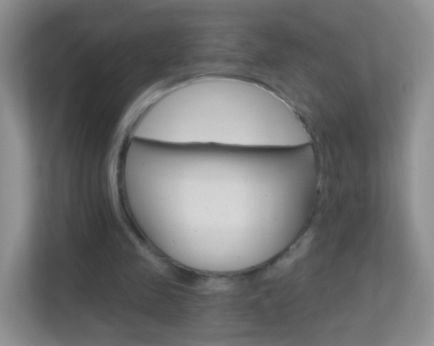 X0000113880341200909241031