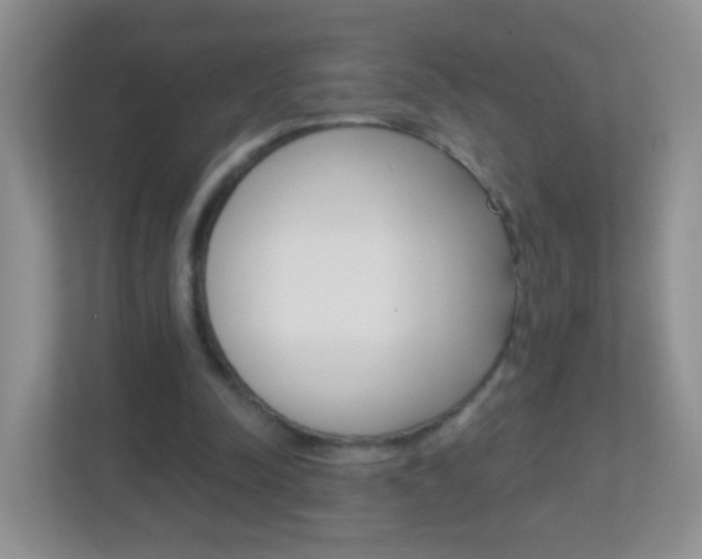 X0000113880342200909241031