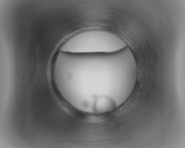 X0000113880346200909241031