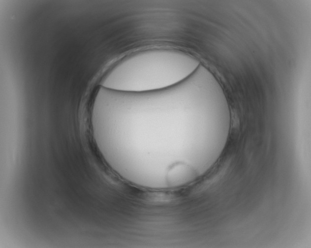 X0000113880347200909241031