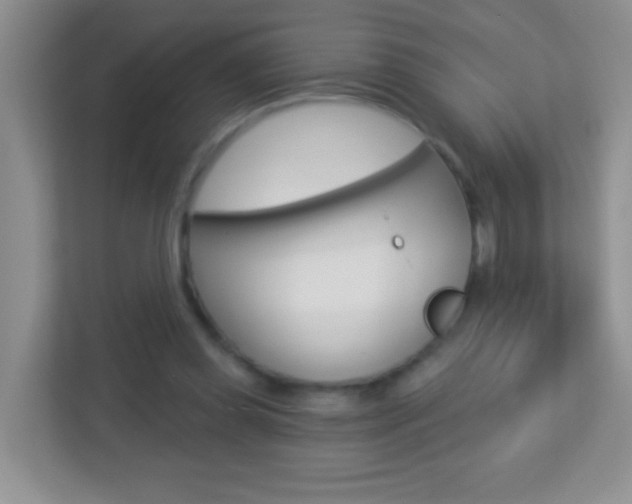 X0000113880349200909241031