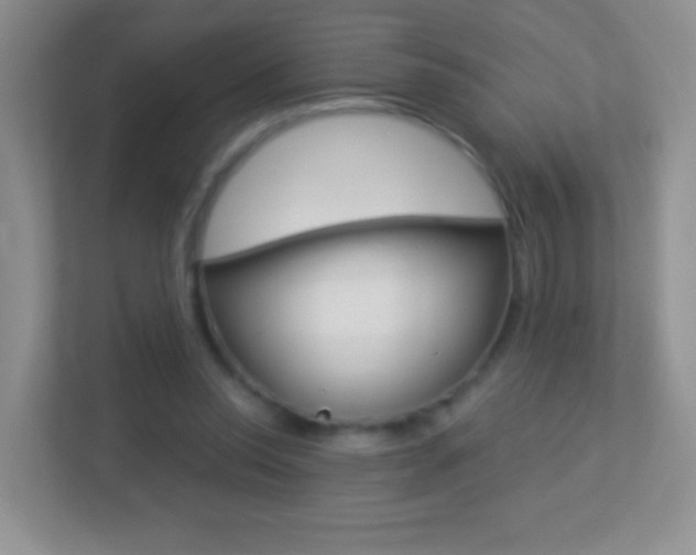 X0000113880350200909241031