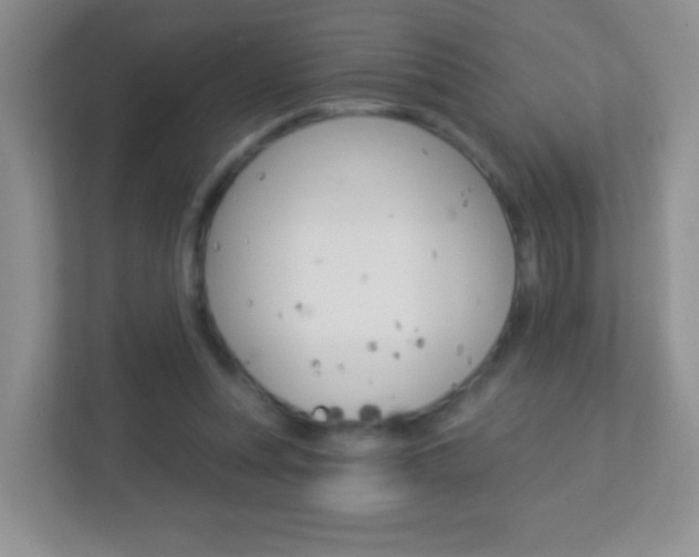 X0000113880351200909241031