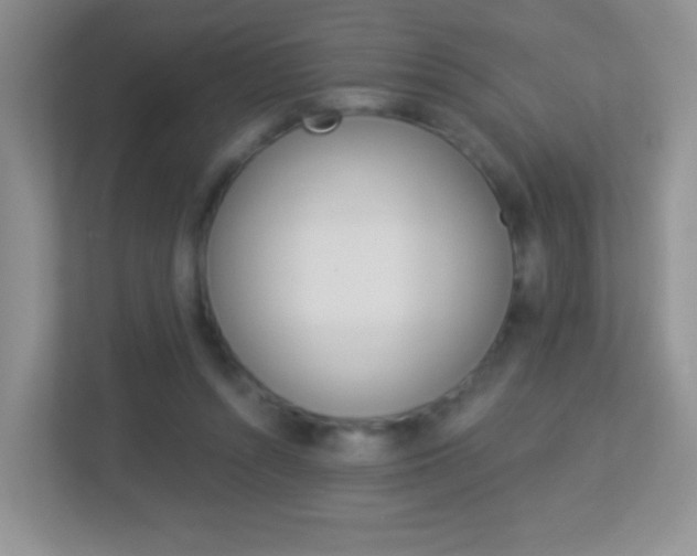 X0000113880352200909241031