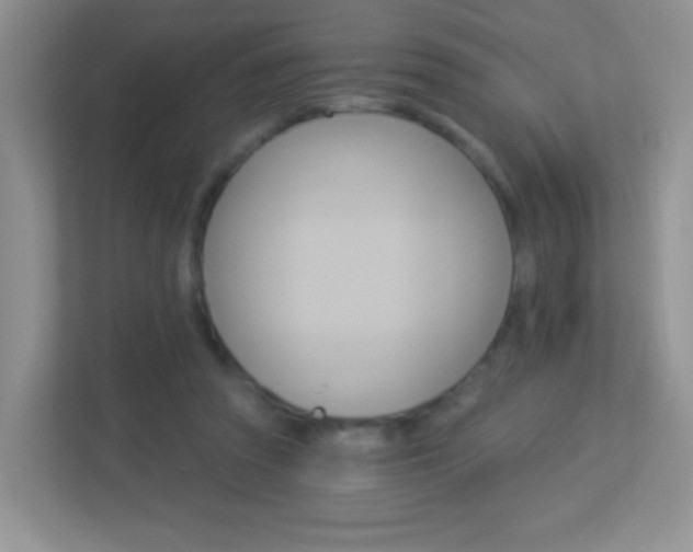 X0000113880353200909241031