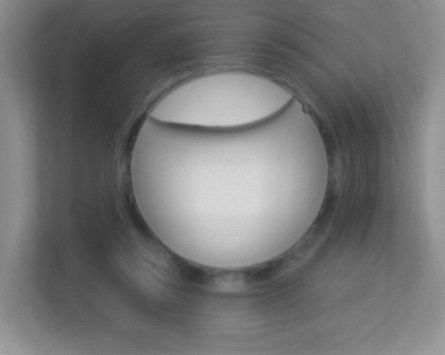 X0000113880355200909241031