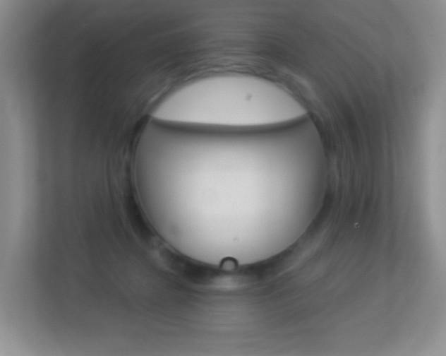 X0000113880364200909241031