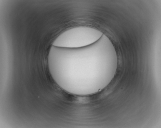 X0000113880371200909241031