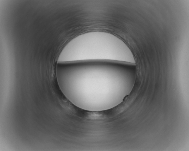 X0000113880380200909241031