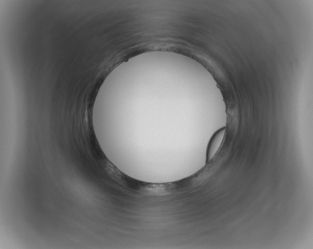 X0000113880381200909241031