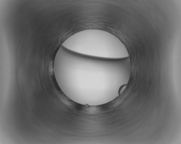 X0000113880383200909241031