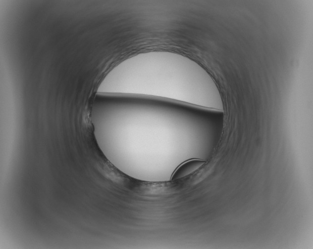 X0000113880384200909241031