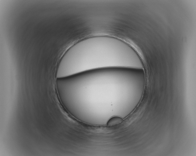 X0000113880385200909241031