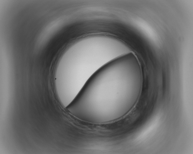 X0000113880387200909241031