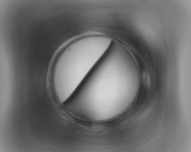 X0000113880388200909241031