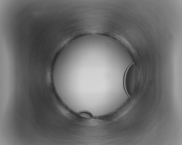 X0000113880393200909241031