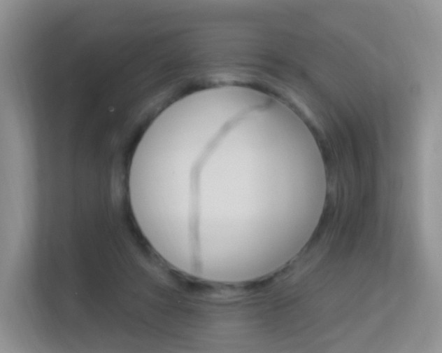 X0000113880402200909241030