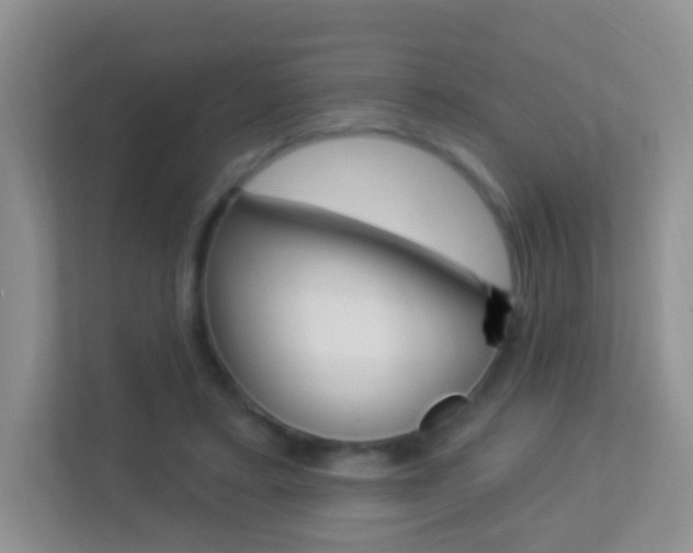 X0000113880403200909241030