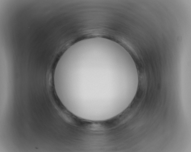 X0000113880406200909241030