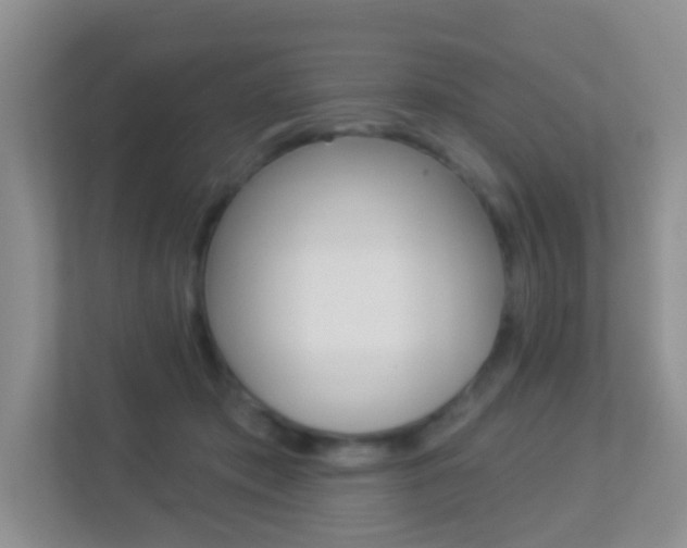 X0000113880413200909241030