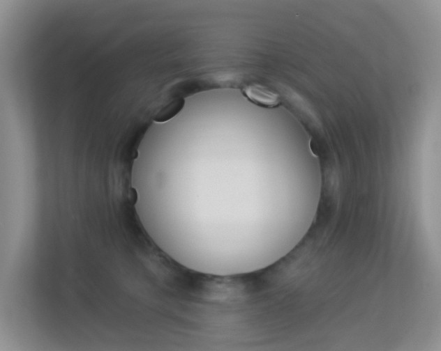 X0000113880421200909241030