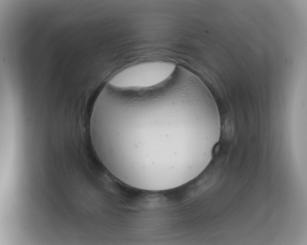 X0000113880424200909241030