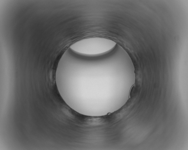 X0000113880428200909241030