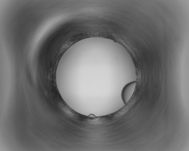 X0000113880430200909241030