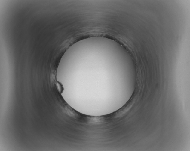 X0000113880432200909241030