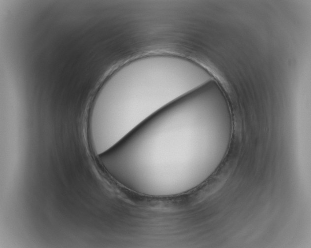 X0000113880434200909241029
