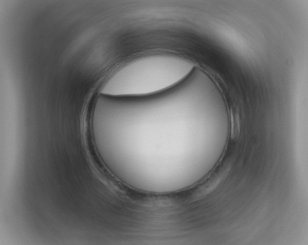 X0000113880435200909241029