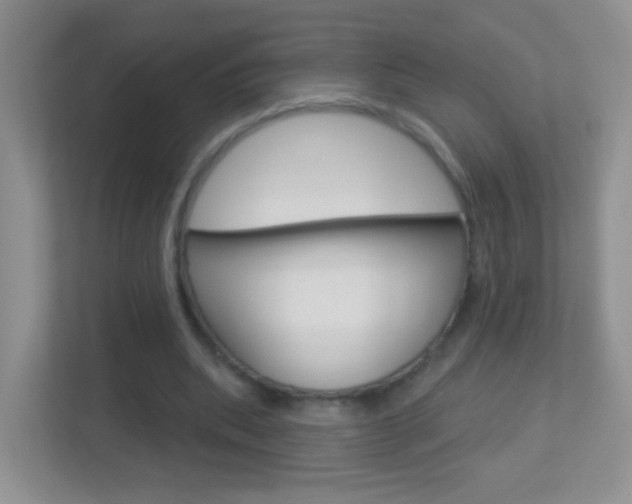 X0000113880439200909241029