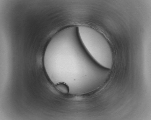 X0000113880441200909241030