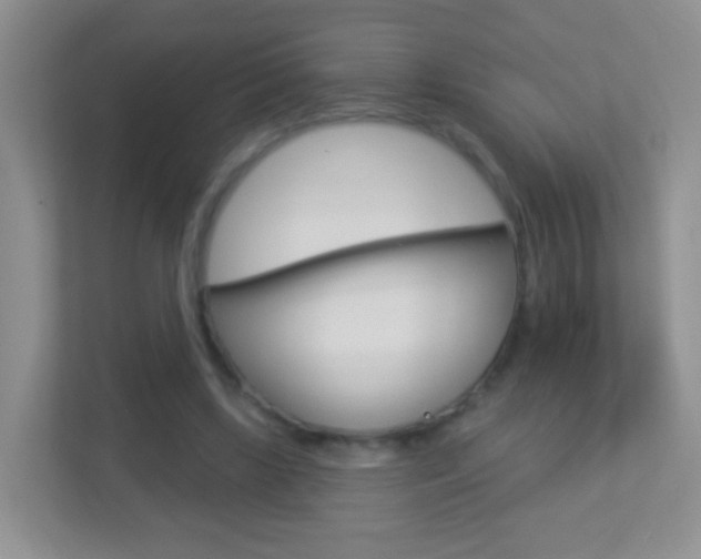 X0000113880443200909241030