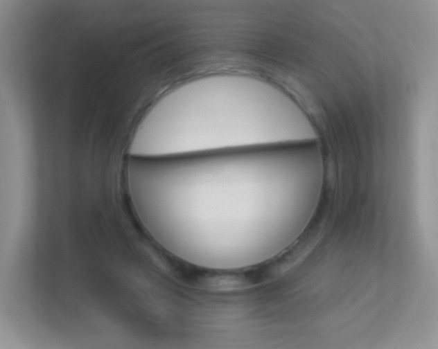 X0000113880449200909241030