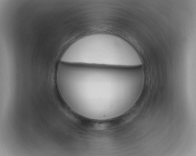X0000113880450200909241030