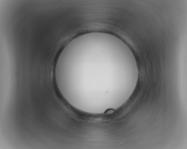 X0000113880454200909241030