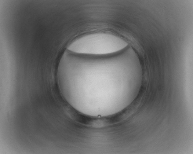 X0000113880461200909241030