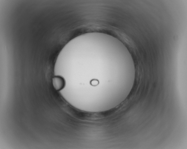 X0000113880463200909241030