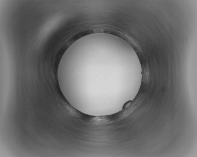 X0000113880477200909241030