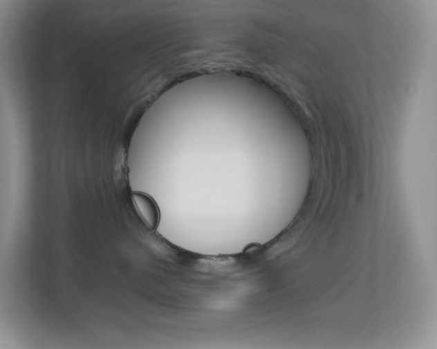 X0000113880480200909241030