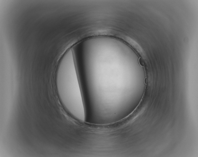X0000113880481200909241029