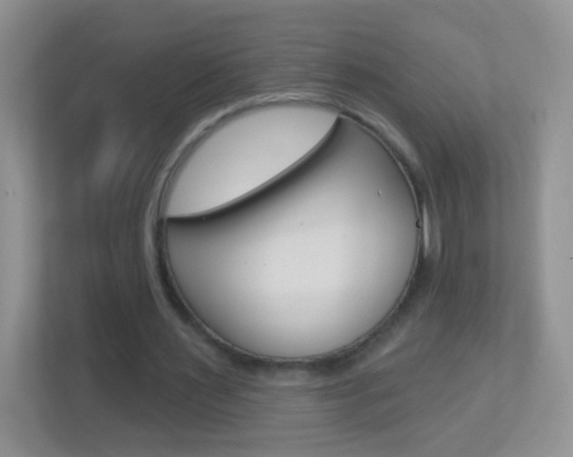 X0000113880483200909241029